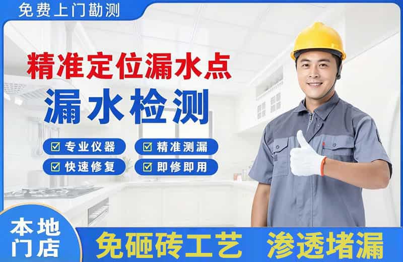 天安精准测漏点